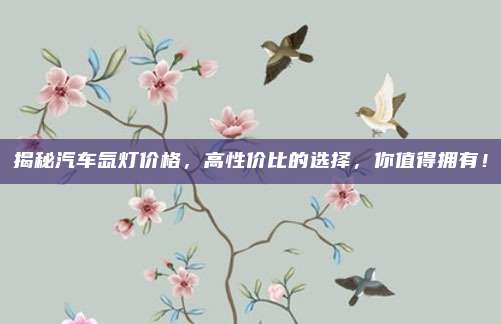 揭秘汽车氙灯价格,高性价比的选择,你值得拥有!