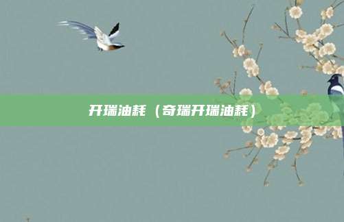 开瑞油耗（奇瑞开瑞油耗）