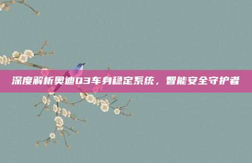 深度解析奥迪Q3车身稳定系统，智能安全守护者