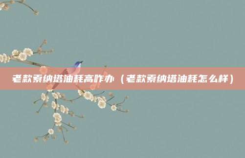老款索纳塔油耗高咋办（老款索纳塔油耗怎么样）