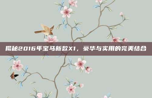 揭秘2016年宝马新款X1,豪华与实用的完美结合