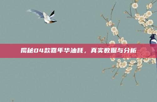 揭秘04款嘉年华油耗，真实数据与分析