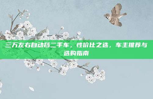 三万左右自动挡二手车，性价比之选，车主推荐与选购指南