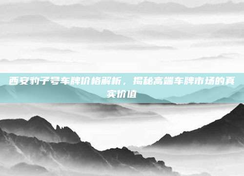 西安豹子号车牌价格解析,揭秘高端车牌市场的真实价值
