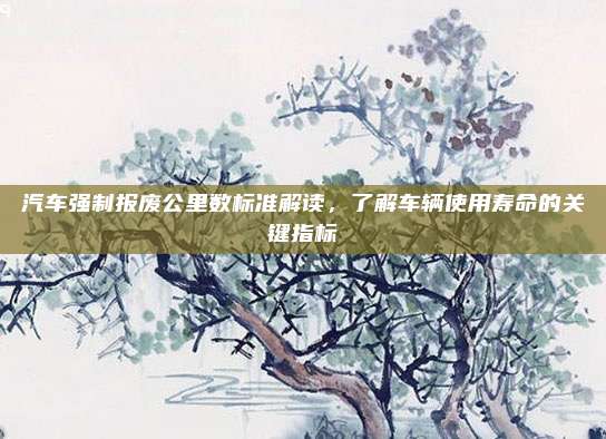 汽车强制报废公里数标准解读,了解车辆使用寿命的关键指标