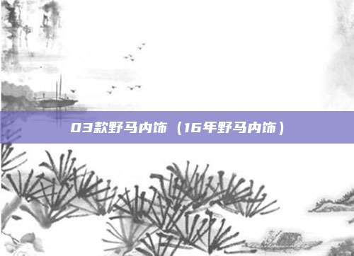 03款野马内饰（16年野马内饰）