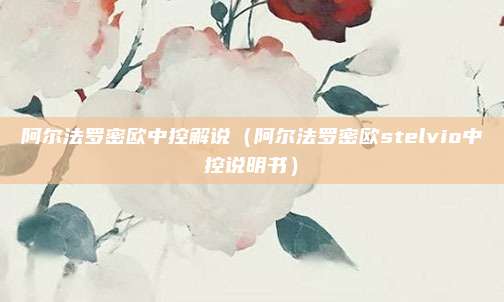 阿尔法罗密欧中控解说（阿尔法罗密欧stelvio中控说明书）