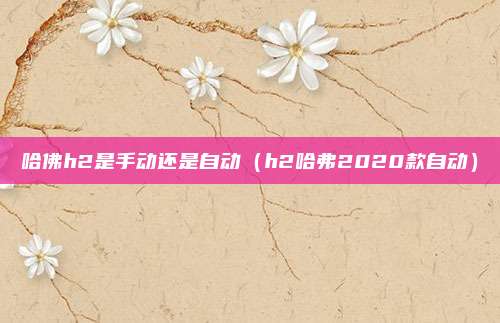 哈佛h2是手动还是自动（h2哈弗2020款自动）