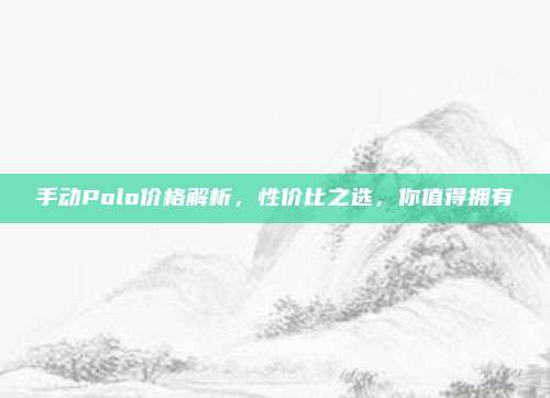手动Polo价格解析,性价比之选,你值得拥有