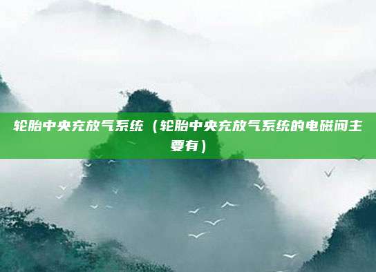 轮胎中央充放气系统（轮胎中央充放气系统的电磁阀主要有）