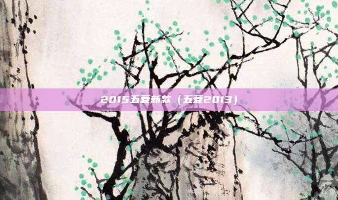 2015五菱新款（五菱2013）