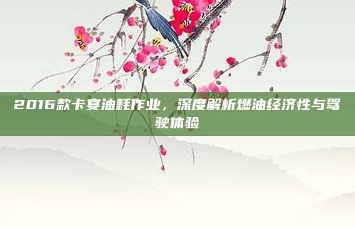 2016款卡宴油耗作业，深度解析燃油经济性与驾驶体验