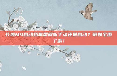 长城M4自动挡车型解析手动还是自动？带你全面了解！