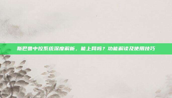 斯巴鲁中控系统深度解析,能上网吗?功能解读及使用技巧