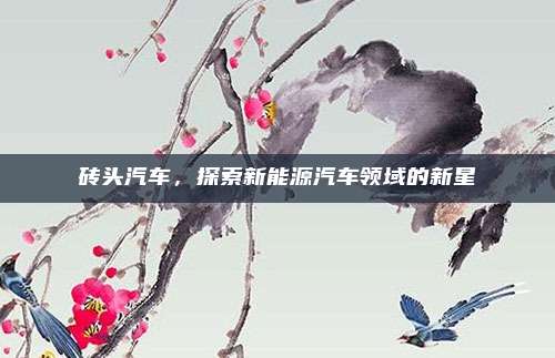 砖头汽车,探索新能源汽车领域的新星