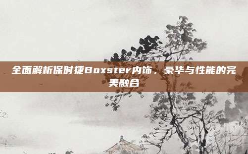 全面解析保时捷Boxster内饰,豪华与性能的完美融合