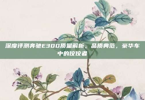 深度评测奔驰E300质量解析,品质典范,豪华车中的佼佼者