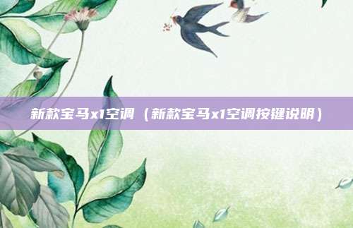 新款宝马x1空调（新款宝马x1空调按键说明）