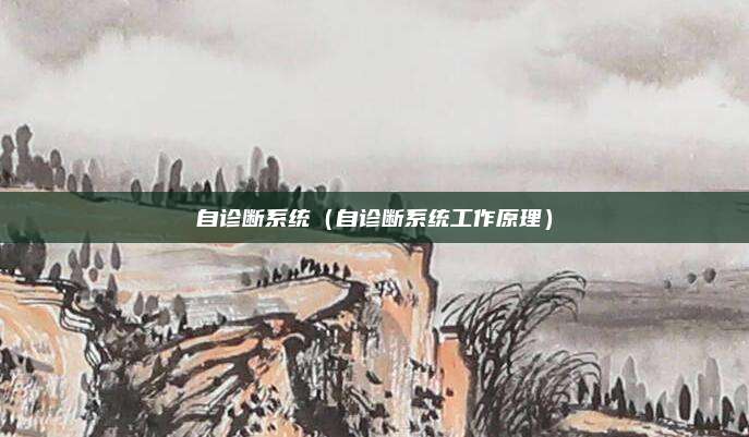 自诊断系统(自诊断系统工作原理)