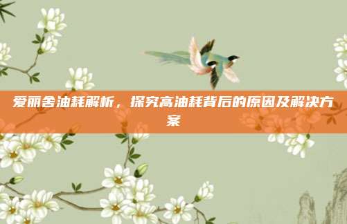 爱丽舍油耗解析,探究高油耗背后的原因及解决方案