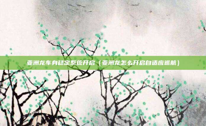 亚洲龙车身稳定系统开启（亚洲龙怎么开启自适应巡航）