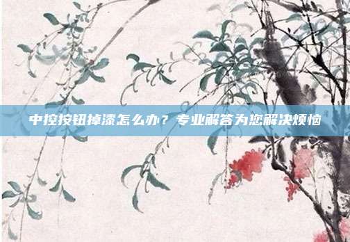 中控按钮掉漆怎么办？专业解答为您解决烦恼