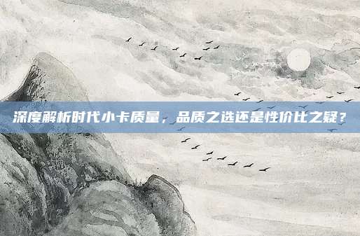 深度解析时代小卡质量,品质之选还是性价比之疑?