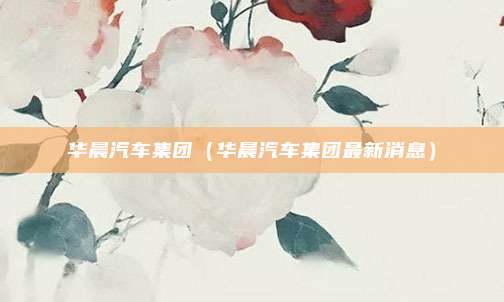 华晨汽车集团（华晨汽车集团最新消息）