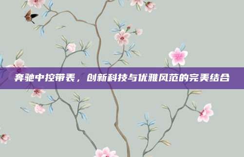 奔驰中控带表,创新科技与优雅风范的完美结合