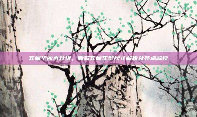 宾利华丽再升级,新款宾利车型尺寸解析及亮点解读