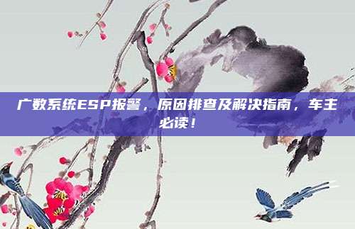 广数系统ESP报警,原因排查及解决指南,车主必读!