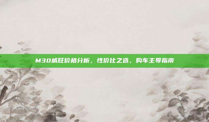 M30威旺价格分析,性价比之选,购车主导指南