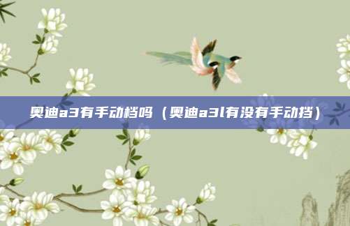 奥迪a3有手动档吗（奥迪a3l有没有手动挡）