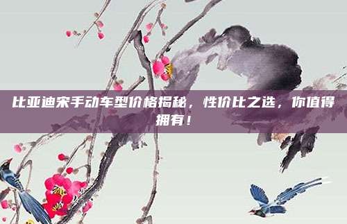 比亚迪宋手动车型价格揭秘，性价比之选，你值得拥有！