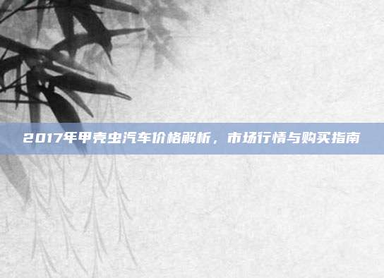 2017年甲壳虫汽车价格解析,市场行情与购买指南