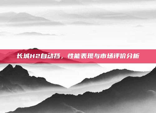 长城H2自动挡,性能表现与市场评价分析