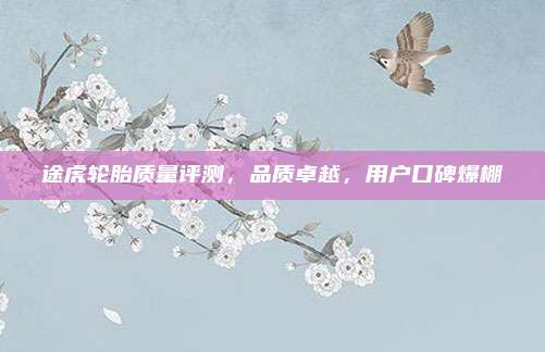 途虎轮胎质量评测,品质卓越,用户口碑爆棚