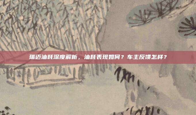 瑞迈油耗深度解析,油耗表现如何?车主反馈怎样?
