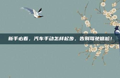 新手必看,汽车手动怎样起步,告别驾驶尴尬!