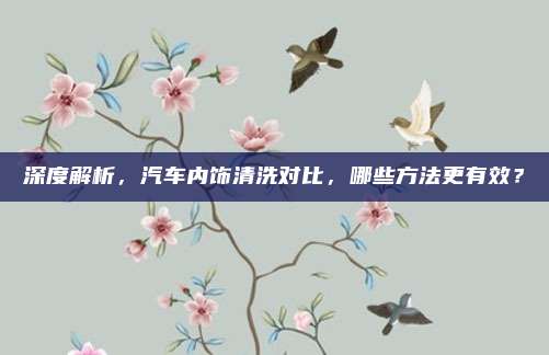 深度解析,汽车内饰清洗对比,哪些方法更有效?