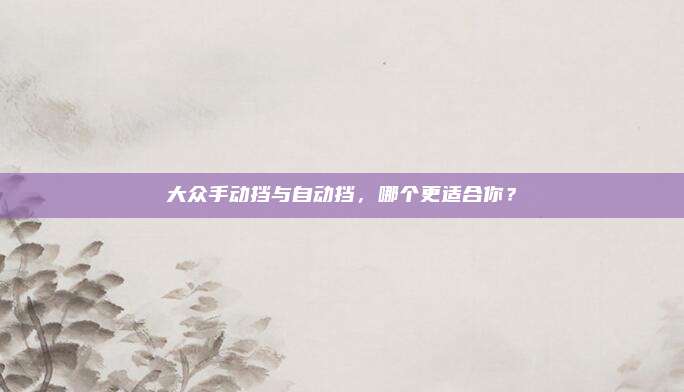 大众手动挡与自动挡，哪个更适合你？