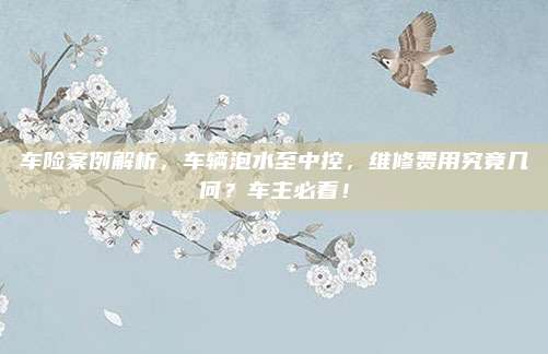 车险案例解析，车辆泡水至中控，维修费用究竟几何？车主必看！