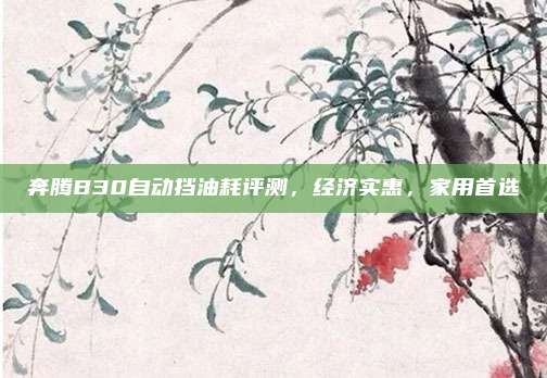 奔腾B30自动挡油耗评测,经济实惠,家用首选