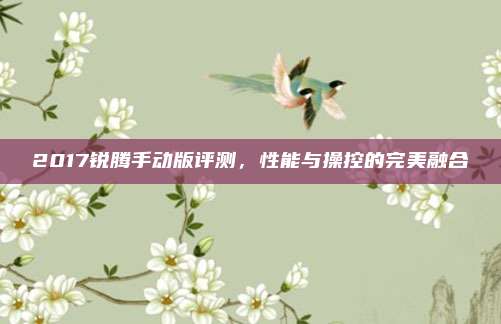 2017锐腾手动版评测,性能与操控的完美融合