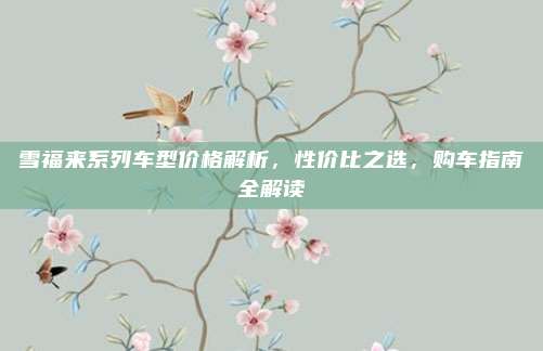 雪福来系列车型价格解析,性价比之选,购车指南全解读