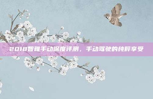 2018智雅手动深度评测,手动驾驶的纯粹享受