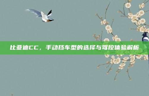比亚迪CC，手动挡车型的选择与驾控体验解析