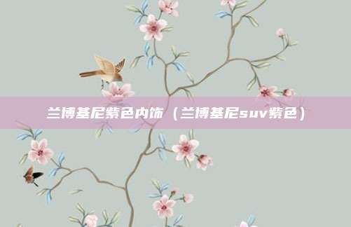 兰博基尼紫色内饰（兰博基尼suv紫色）