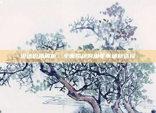 坦途价格解析,全面揭秘商用车市场新选择