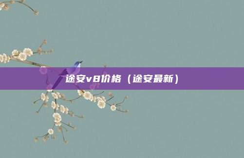 途安v8价格（途安最新）